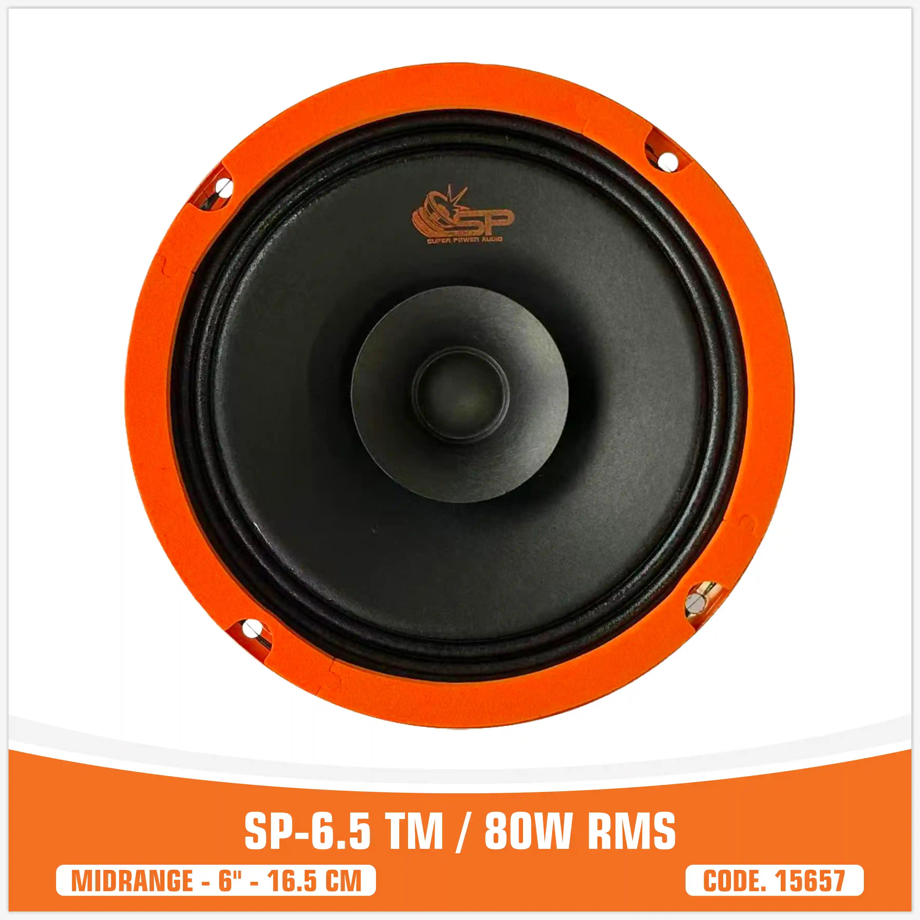 SP-6.5TM / 80 WATT RMS (PAIR PRICE)